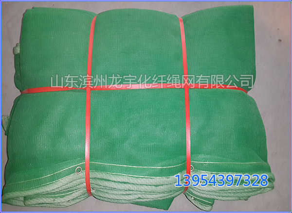 Dense mesh safety net